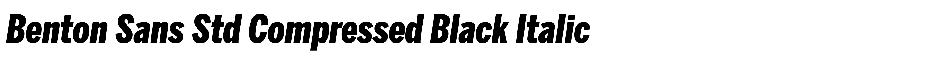 Benton Sans Std Compressed Black Italic